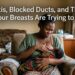 Mastitis, Blocked Ducts, and Thrush What Your Breasts Are Trying to Tell You